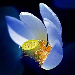 2D动作冒险《Breeze in the Clouds》Steam页面 不支持中文